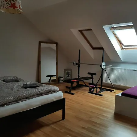 Apartman Dvorak 194 Pod Svatou Horou Pribram Exterior photo