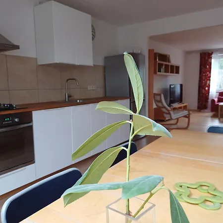 Apartman Dvorak 194 Pod Svatou Horou Pribram Exterior photo