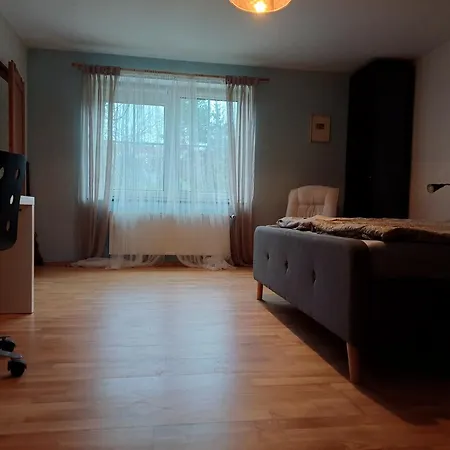 Apartman Dvorak 194 Pod Svatou Horou Pribram Exterior photo