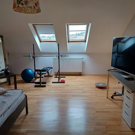 Apartman Dvorak 194 Pod Svatou Horou Pribram Exterior photo