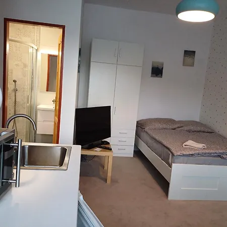 Apartman Dvorak 194 Pod Svatou Horou Pribram Exterior photo