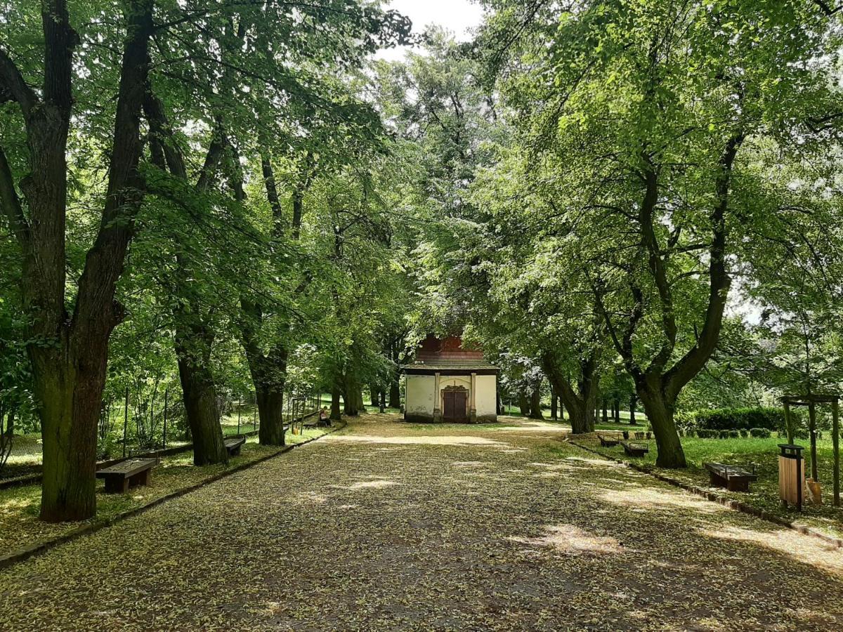 Dvořák 194 Pod Svatou Horou *