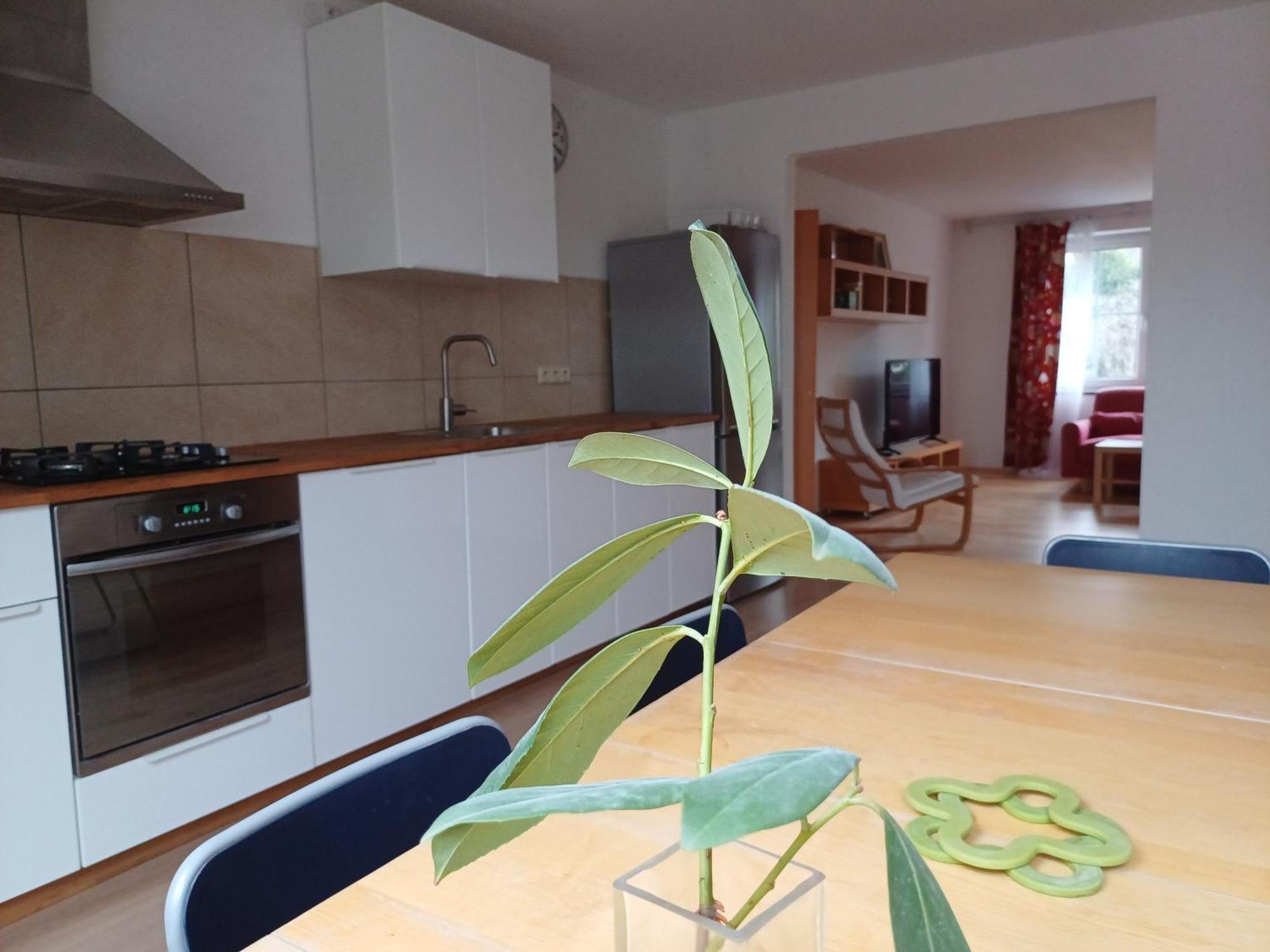 Dvorak 194 Pod Svatou Horou Homestay *