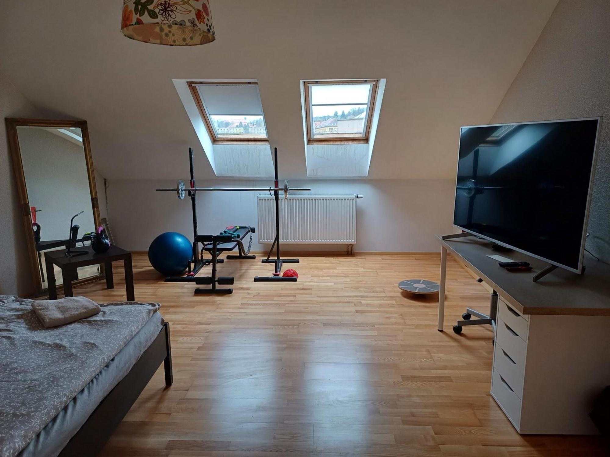 Dvorak 194 Pod Svatou Horou Homestay *